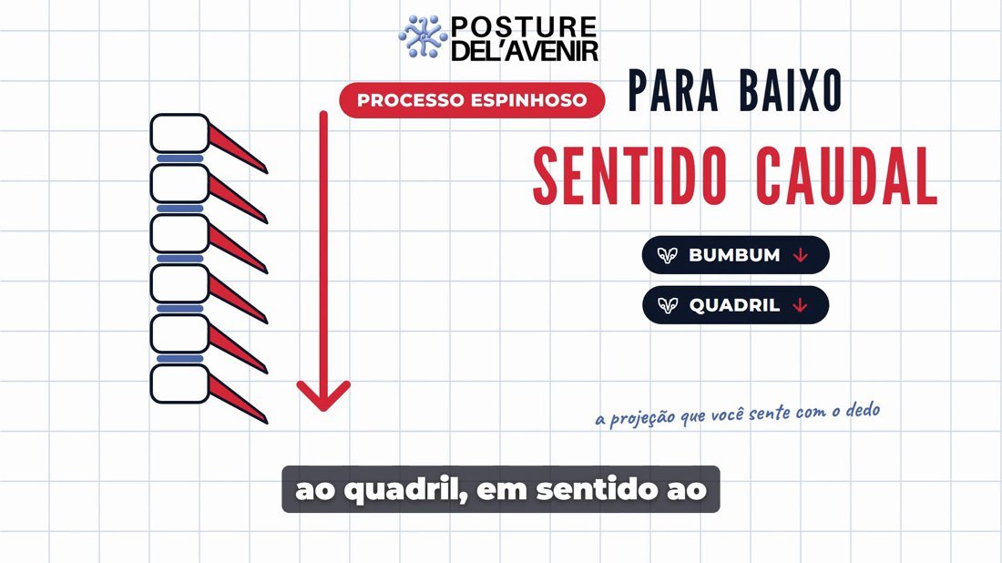 Videoaula: sentido caudal